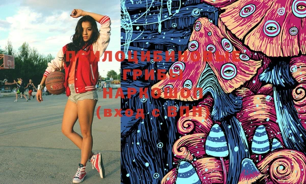 СК Краснослободск