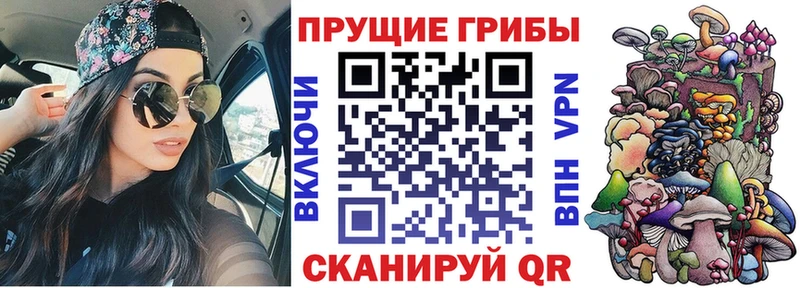 Купить  Октябрьский  Псилоцибиновые грибы мухоморы 